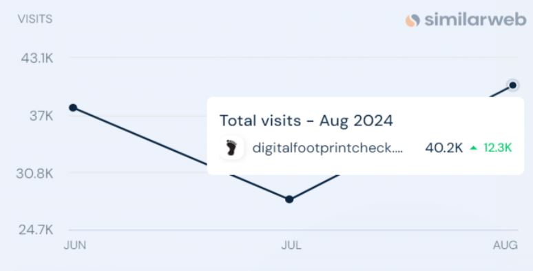 Digital Footprint Website Traffic Statistics