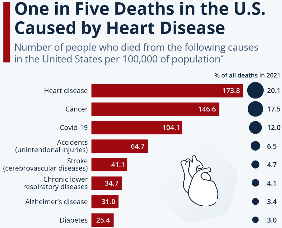 Causes of Deaths in US