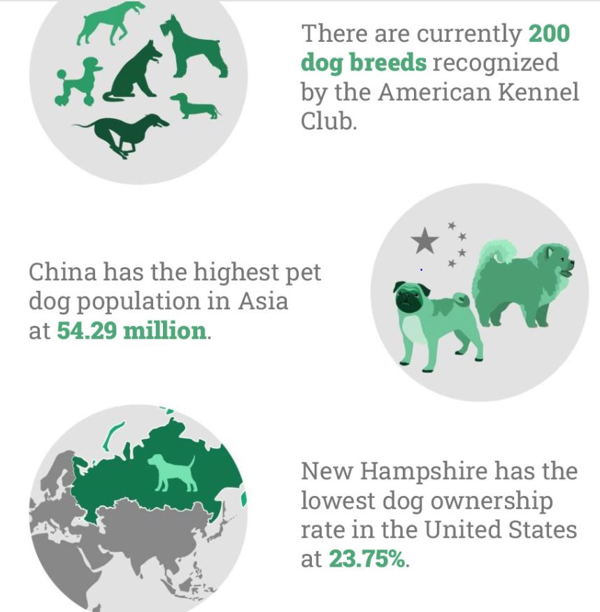 The Top 10 Dog Statistics In 2024