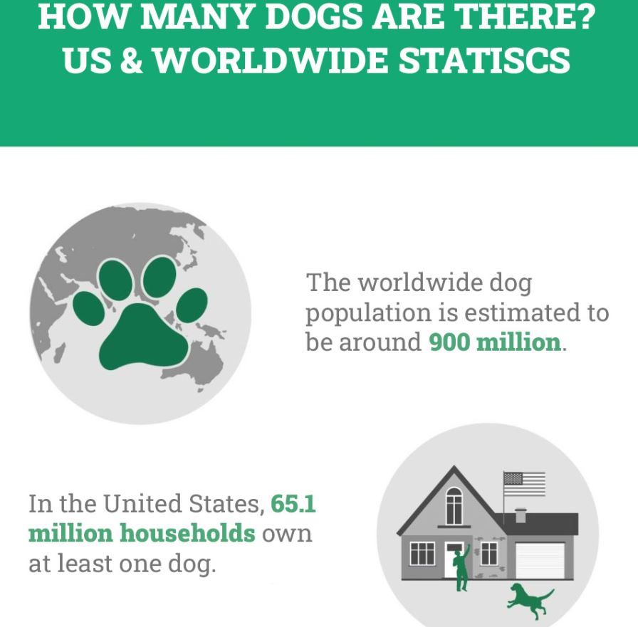 Top 10 Worldwide Dog Statistics