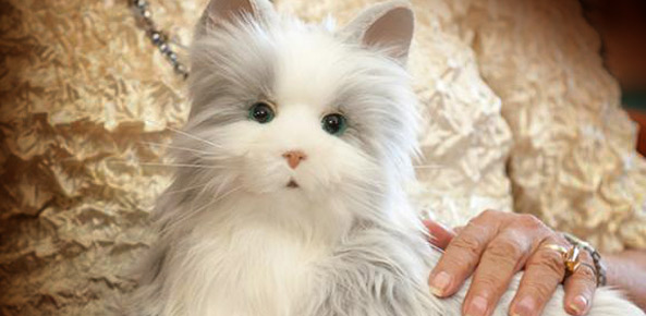 Scientists Unveil Robo-Cat with AI To Help Seniors