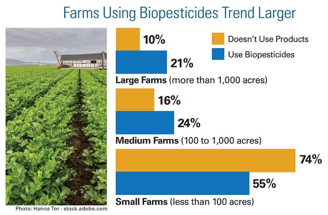 Impact of Using Biopesticides in Farms