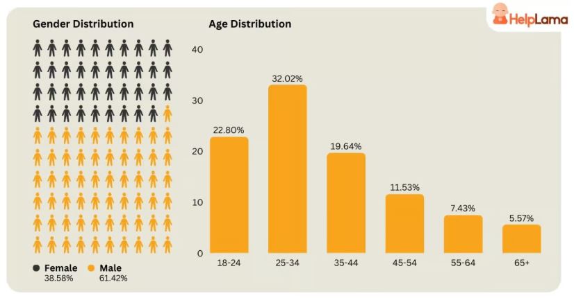 Stripe Users Demographics