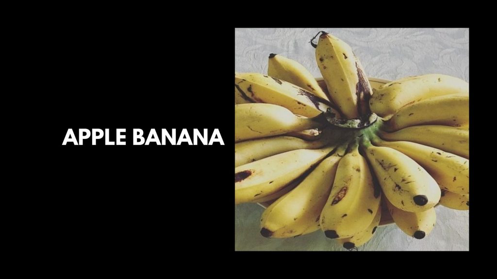 Apple-Banana