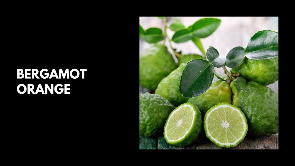 Bergamot-Orange