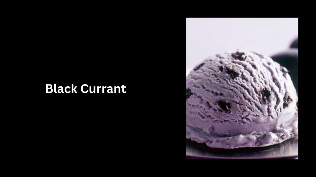 Black-Currant