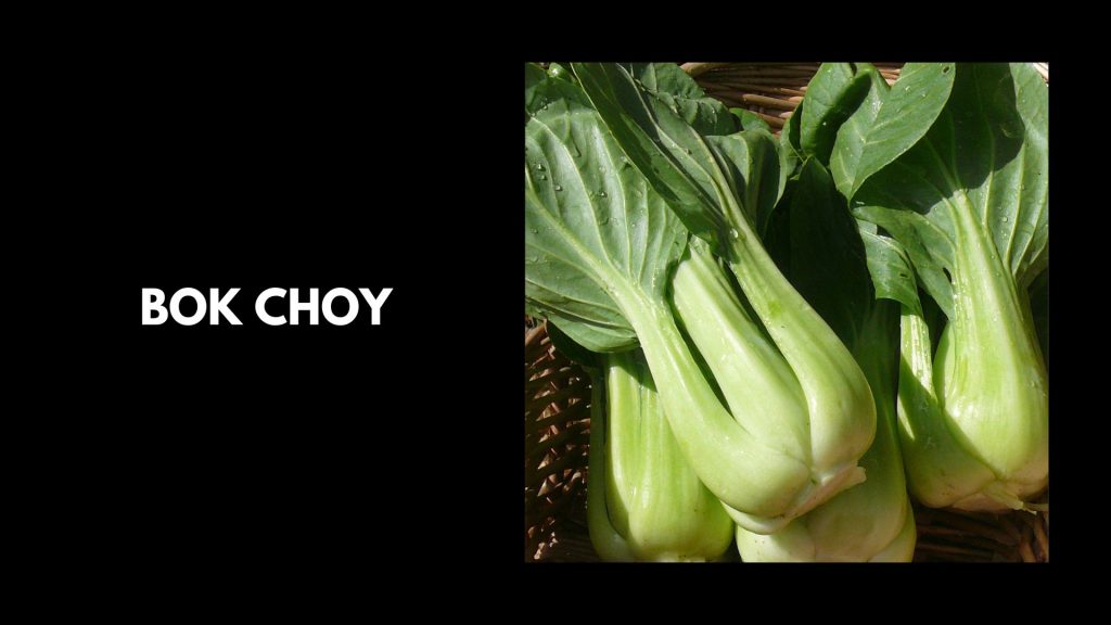 Bok-Choy