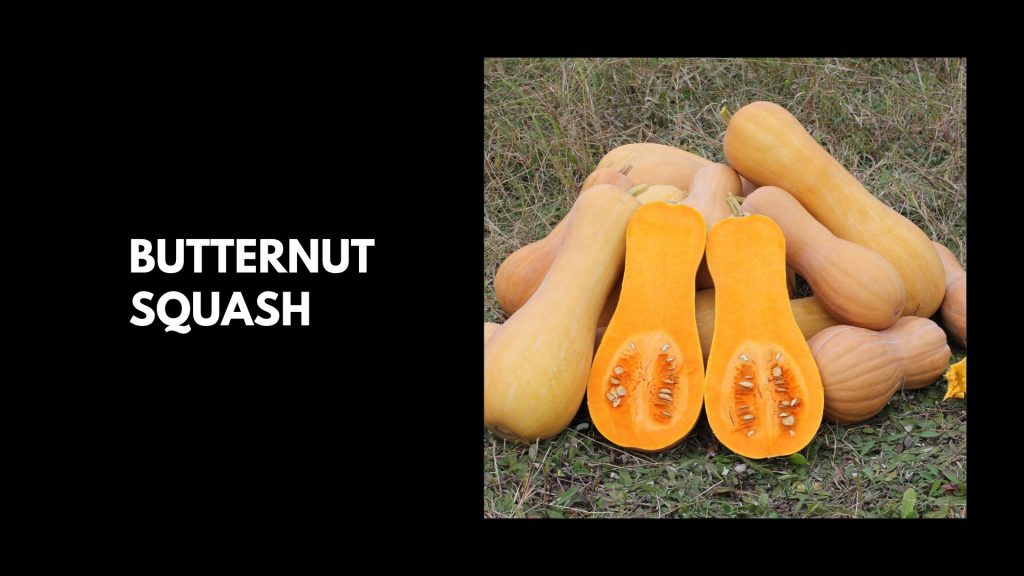 Butternut-Squash