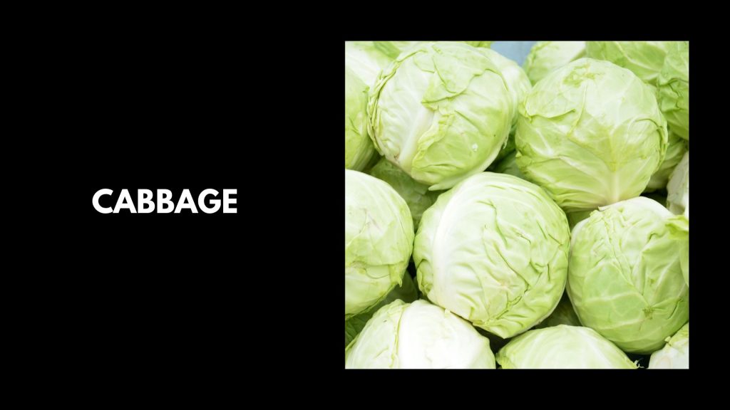 Cabbage