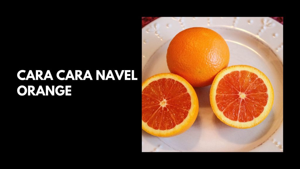 Cara-Cara-Navel-Orange