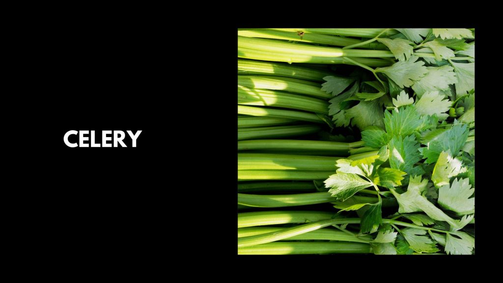 Celery