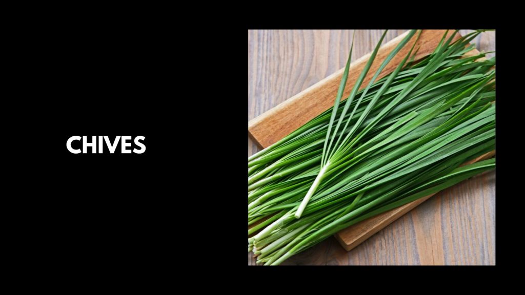 Chives