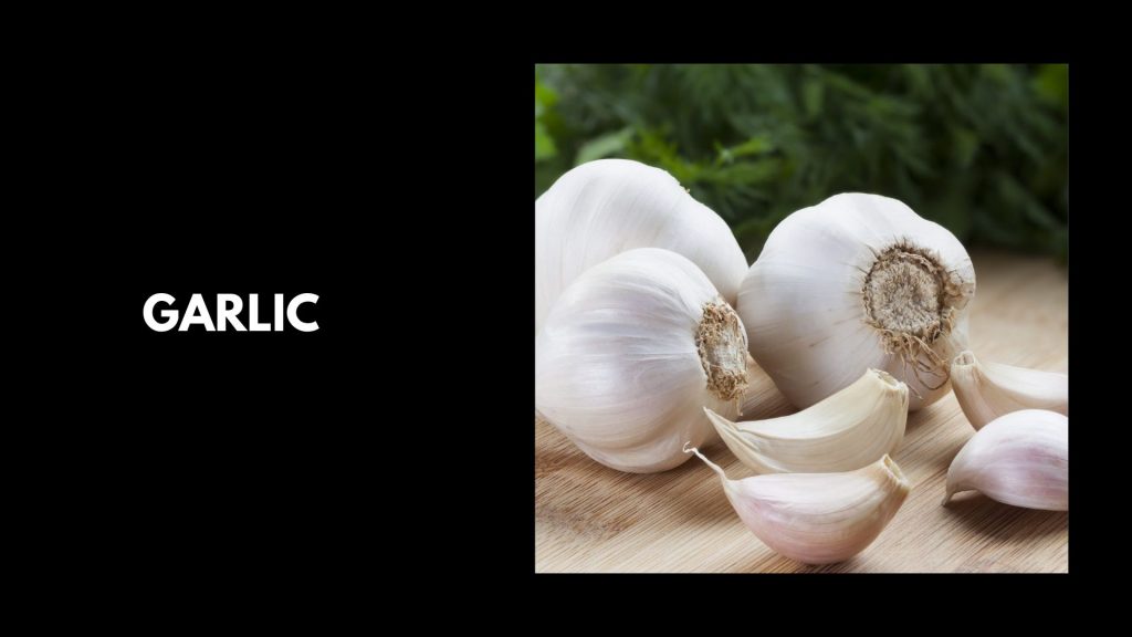 Garlic