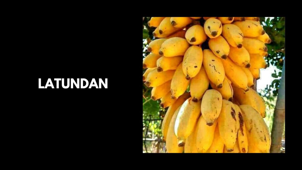 Latundan