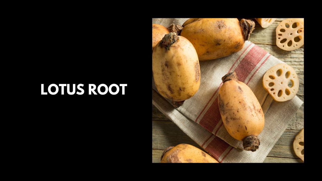 Lotus-Root