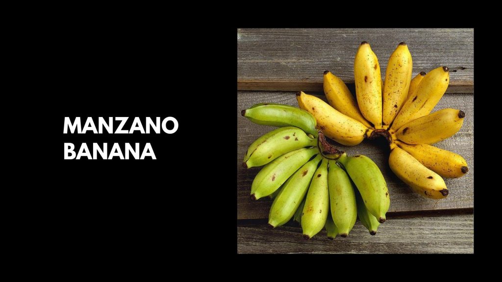 Manzano-Banana