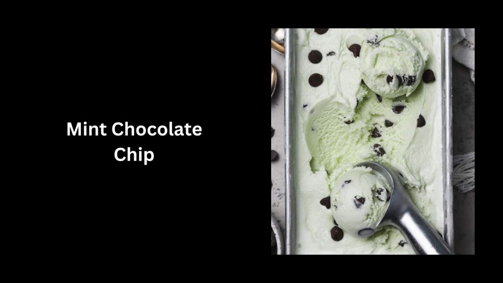 Mint-Chocolate-Chip