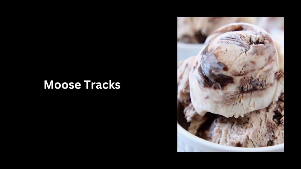 Moose-Tracks