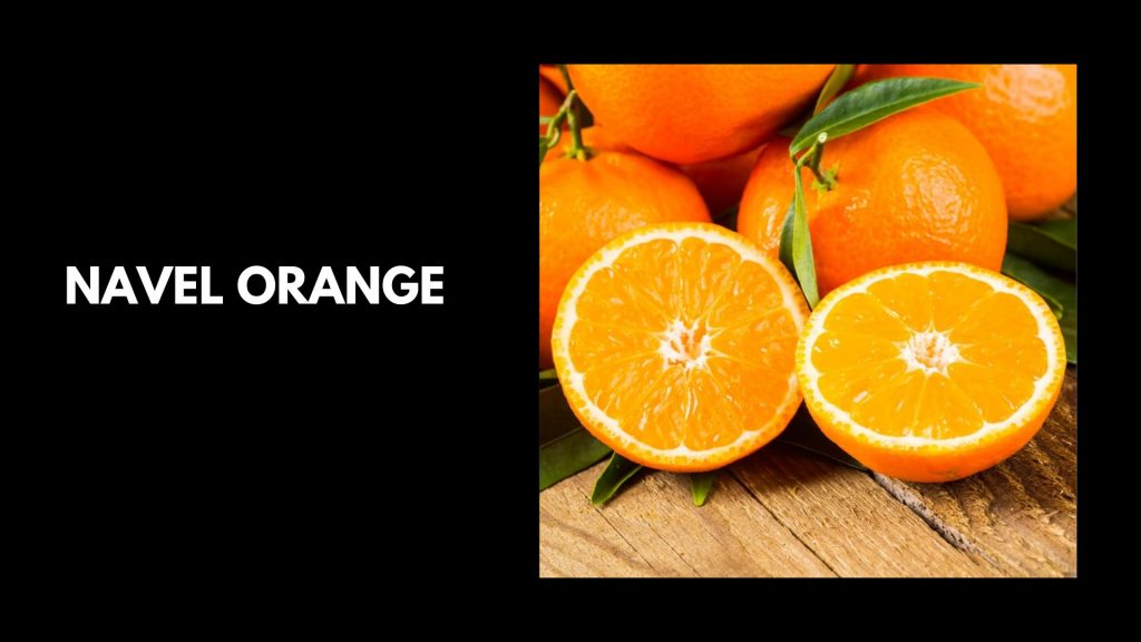 Navel-Orange