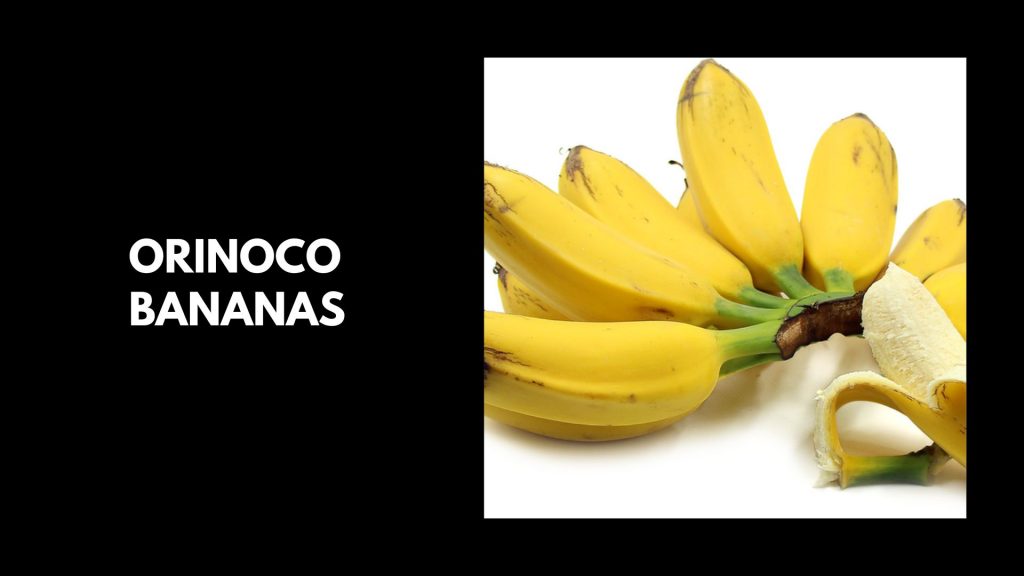 Orinoco-Bananas