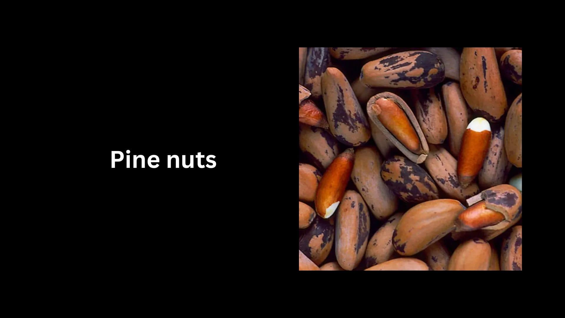 Pine nuts 