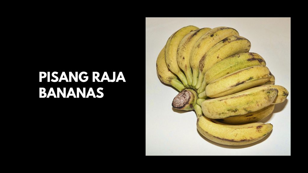 Pisang-Raja-bananas