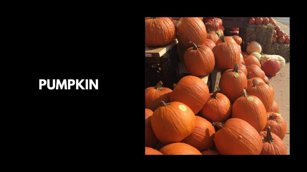Pumpkin