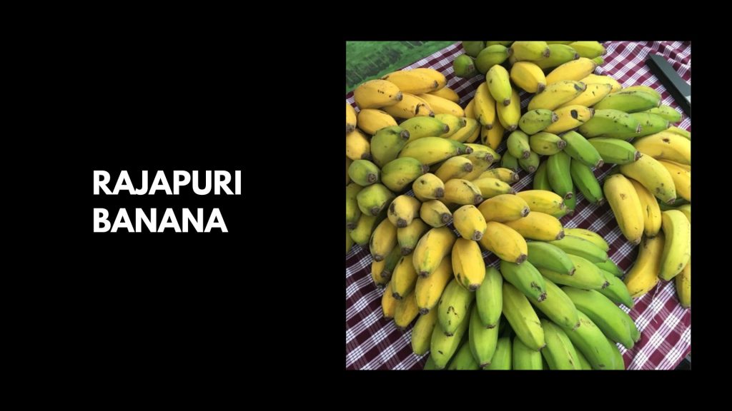 Rajapuri-Banana
