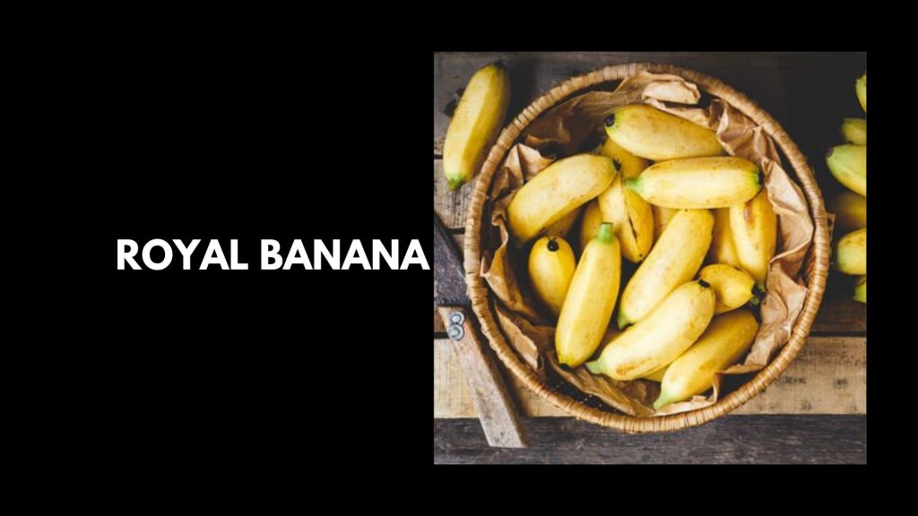 Royal-Banana