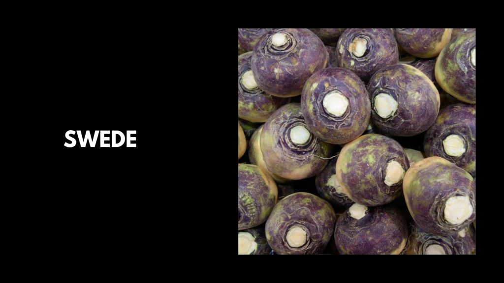 Swede