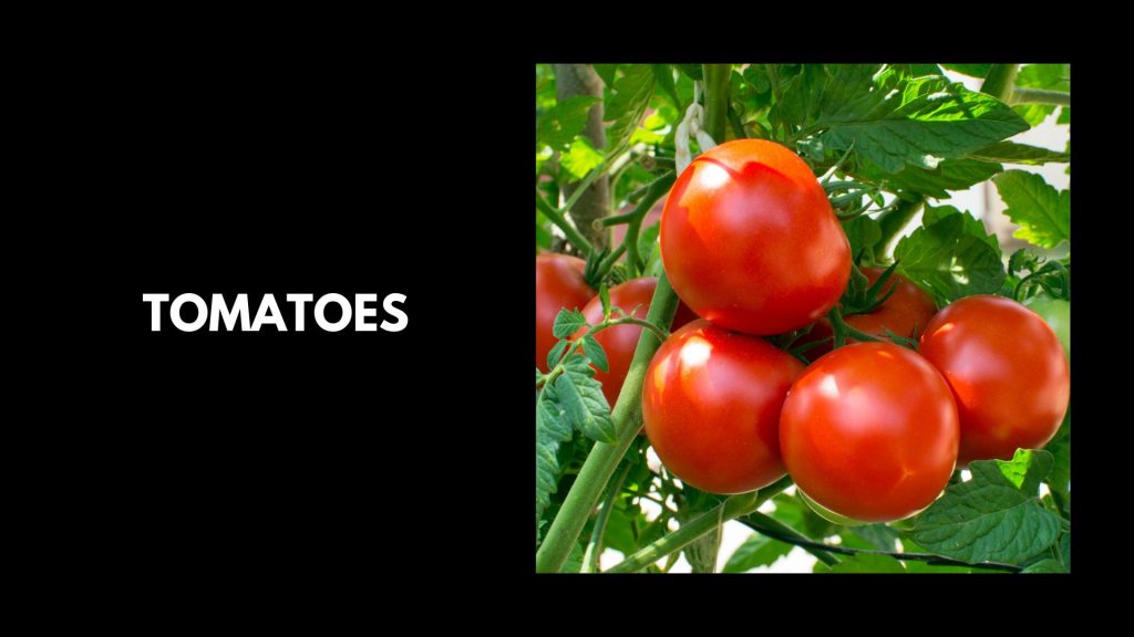 Tomatoes