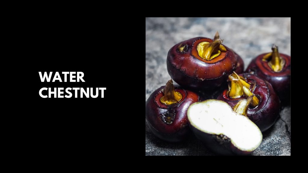 Water-Chestnut