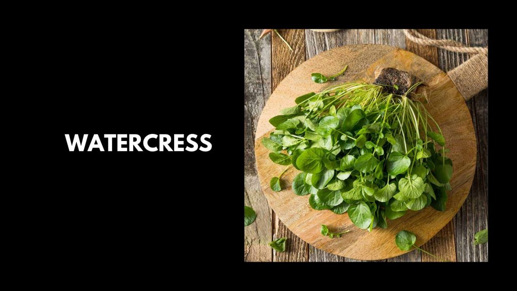 Watercress