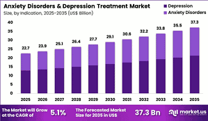 Depression Statistics By Country And Facts (2026)