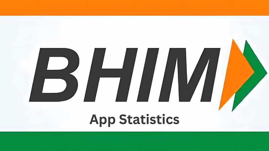 Bhim App Statistics