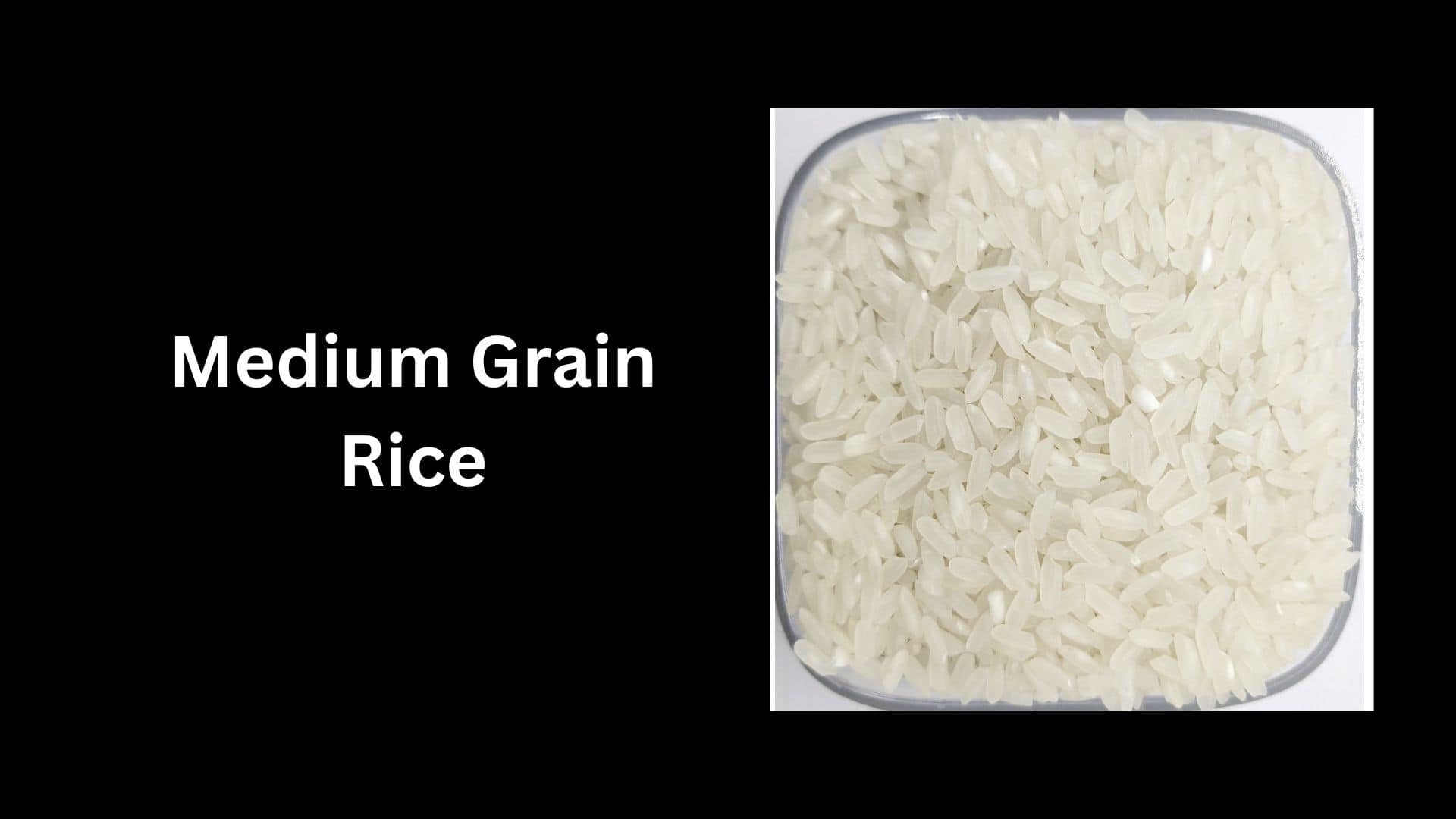 Medium Grain Rice