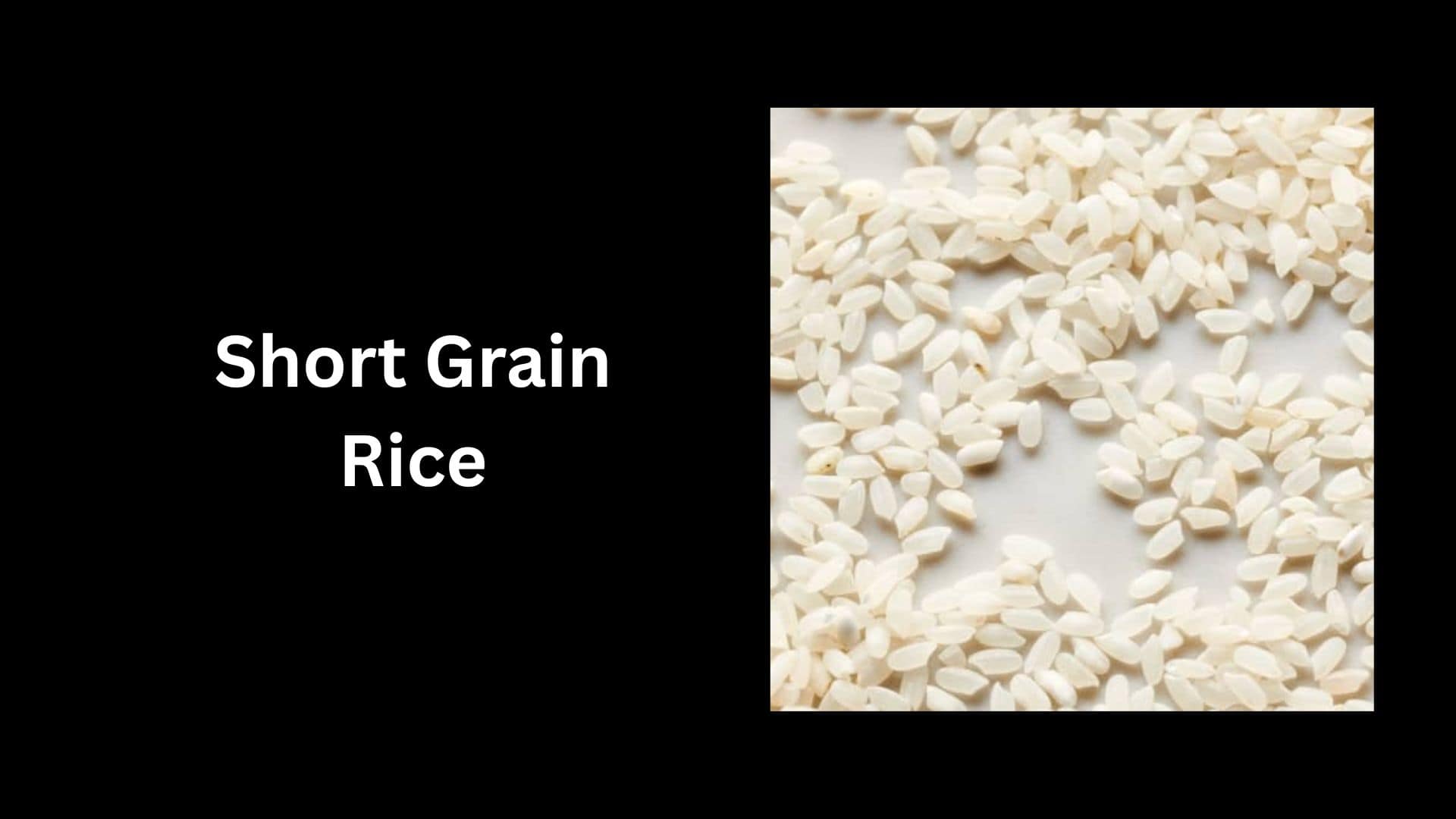 Short Grain Rice