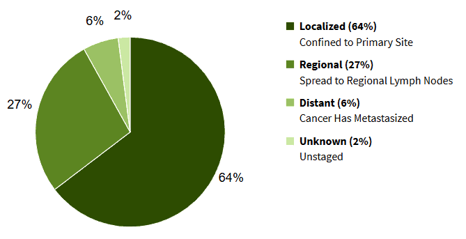 Female breast cancer stage at diagnosis