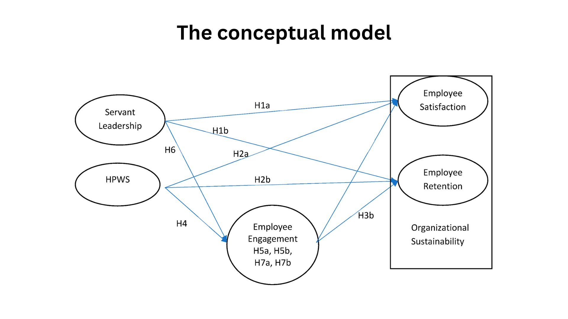 The conceptual model