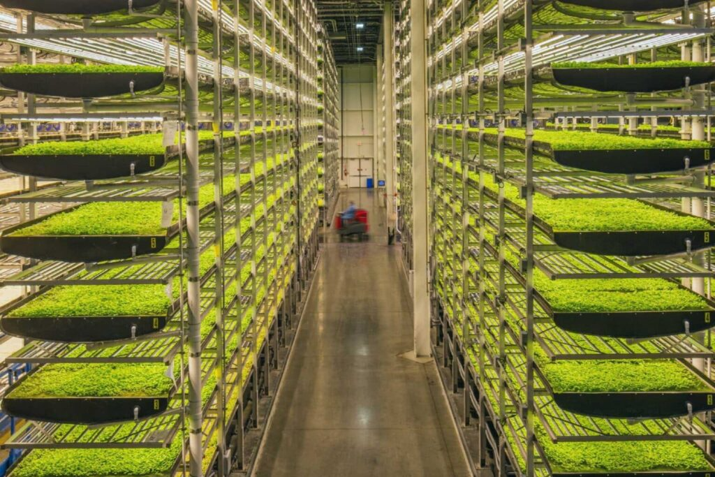 aerofarm