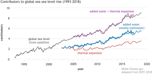 Contributors to global sea level rise