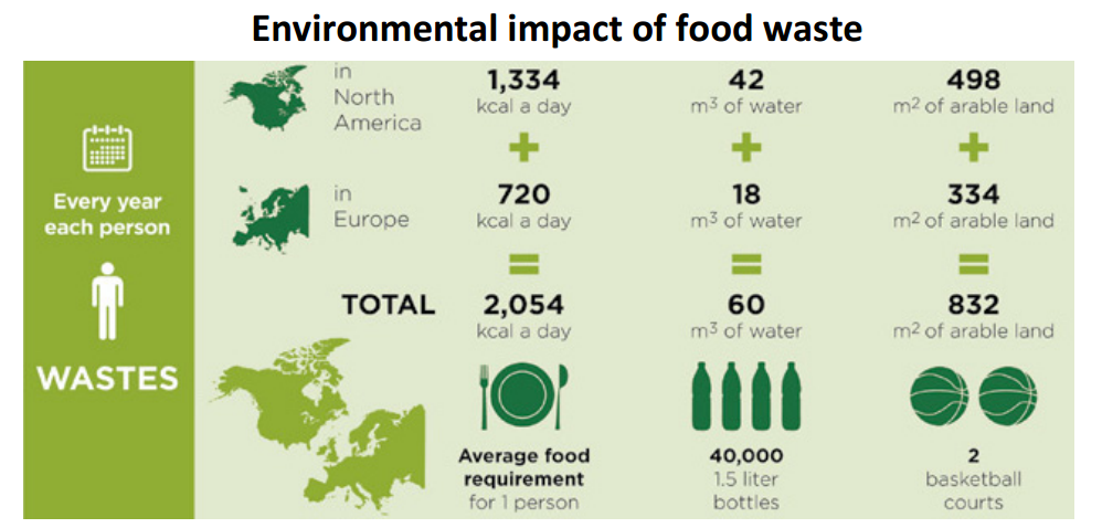 Environmental impact of food waste