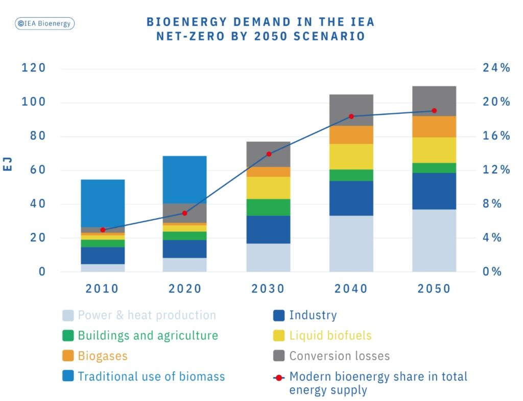 bioenergy demand in the iea net-zero by 2050 scenario