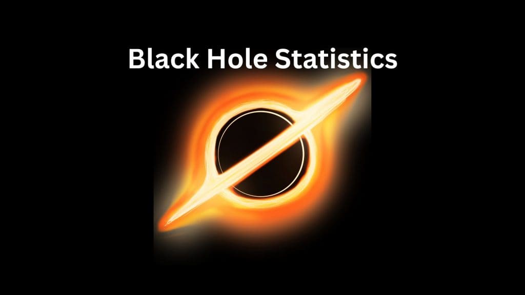 Black Hole Statistics