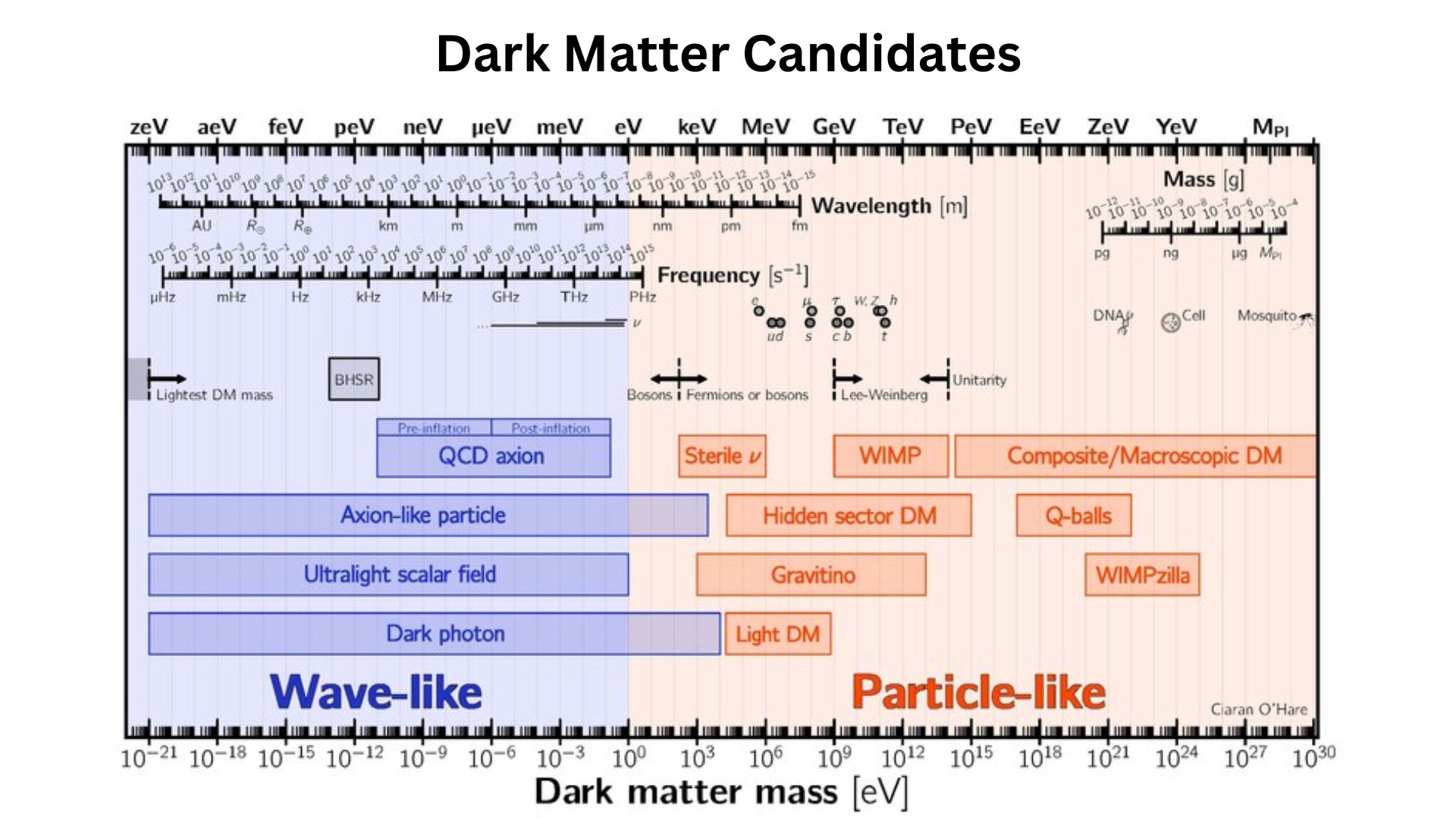 Dark Matter Candidates