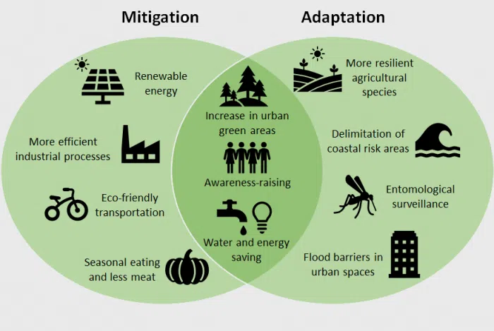 Mitigation and Adaptation