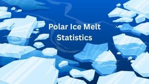 Polar Ice Melt Statistics