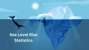 Sea Level Rise Statistics