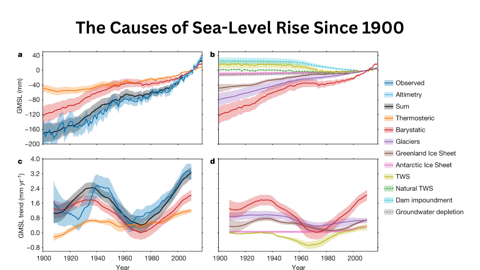 The Causes of Sea-Level Rise Since 1900