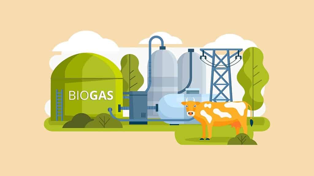 Bioenergy And Biomass Statistics